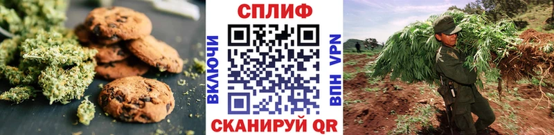 Canna-Cookies конопля  Сковородино 