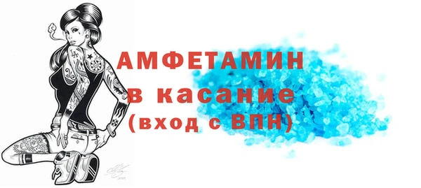 гидра Богданович