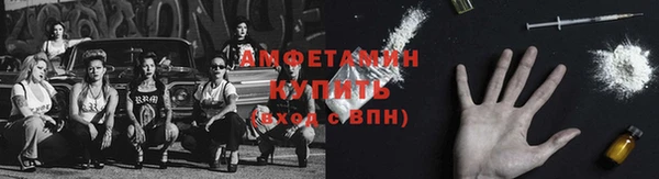 гидра Богданович
