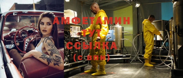 молекула духа Богородск
