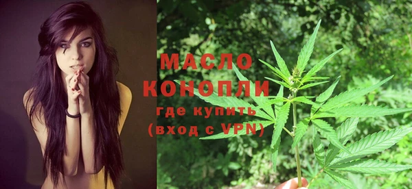 гидра Богданович