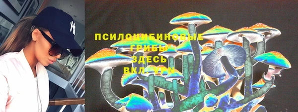молекула духа Богородск