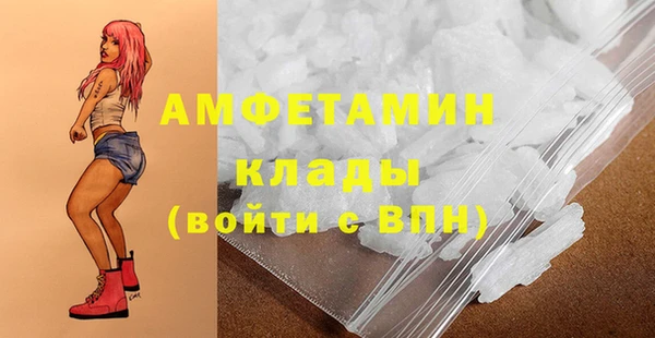 гидра Богданович