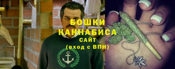 гидра Богданович