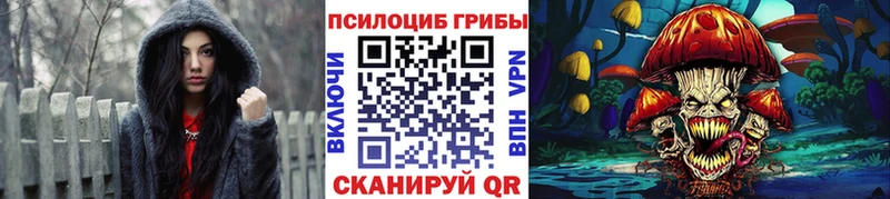Псилоцибиновые грибы MAGIC MUSHROOMS  mega зеркало  Сковородино  дарнет шоп 